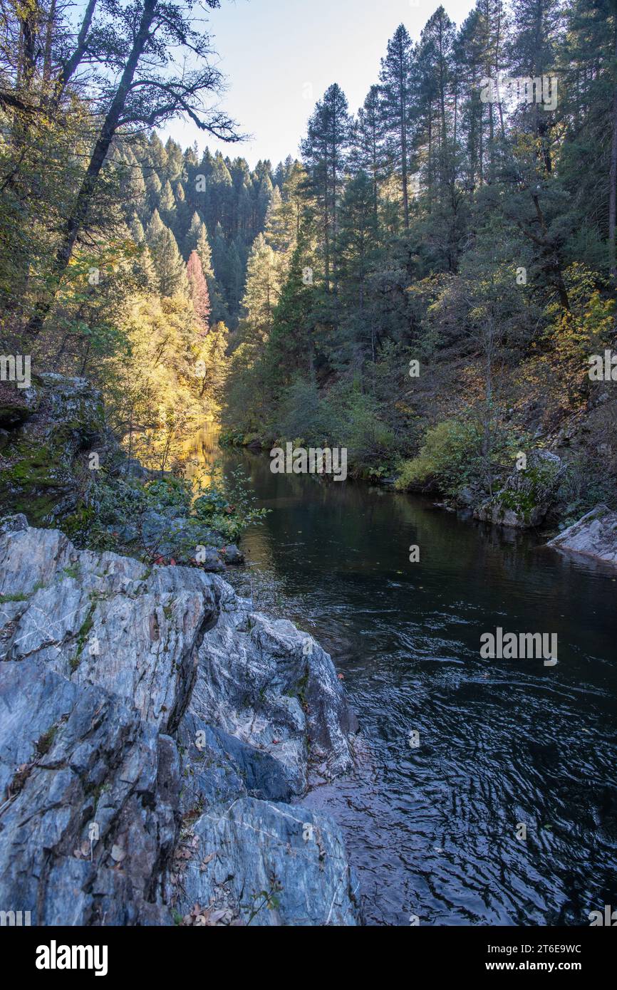 Der Butte Creek fließt durch den Wald und die Wildnis der Sierra Nevada in Kalifornien. Stockfoto