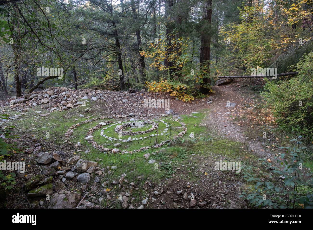 Umweltkunst, ein spiralförmiges Muster, das aus Felsen in der Wildnis von Butte County gebaut wurde, hebt sich im Wald hervor. Stockfoto