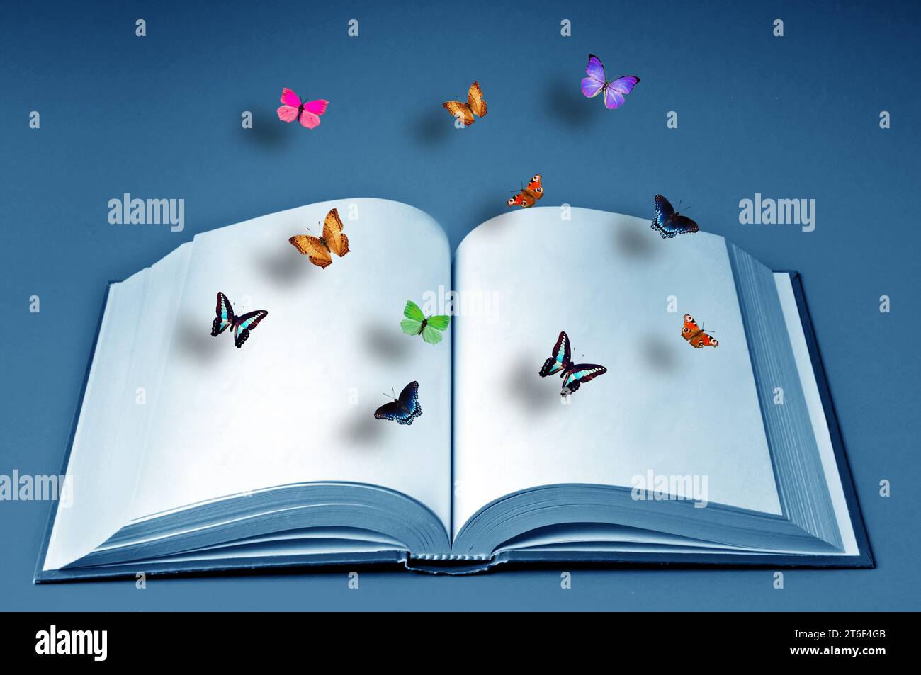 Öffnen Sie das Buch und bunten Schmetterlinge fliegen darüber Stockfoto