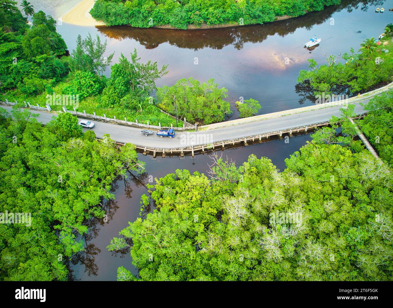 Drohnenfoto der öffentlichen Straße, die zwischen den Küstenfeuchtgebieten von Port Launay verläuft, Mangroven, eines der besten Mangrovenfeuchtgebiete auf der Insel Mahé Stockfoto