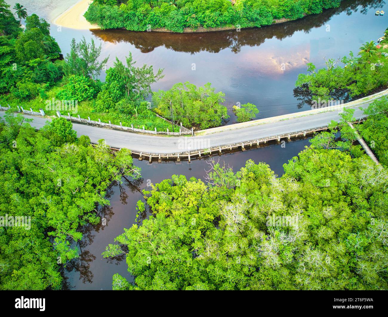 Drohnenfoto der öffentlichen Straße, die zwischen den Küstenfeuchtgebieten von Port Launay verläuft, Mangroven, eines der besten Mangrovenfeuchtgebiete auf der Insel Mahé Stockfoto