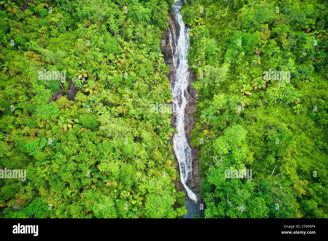 Drohnenfotgraphie des Sauzier-Wasserfalls auf, umgeben von üppigem Wald, Mahe Seychellen Stockfoto
