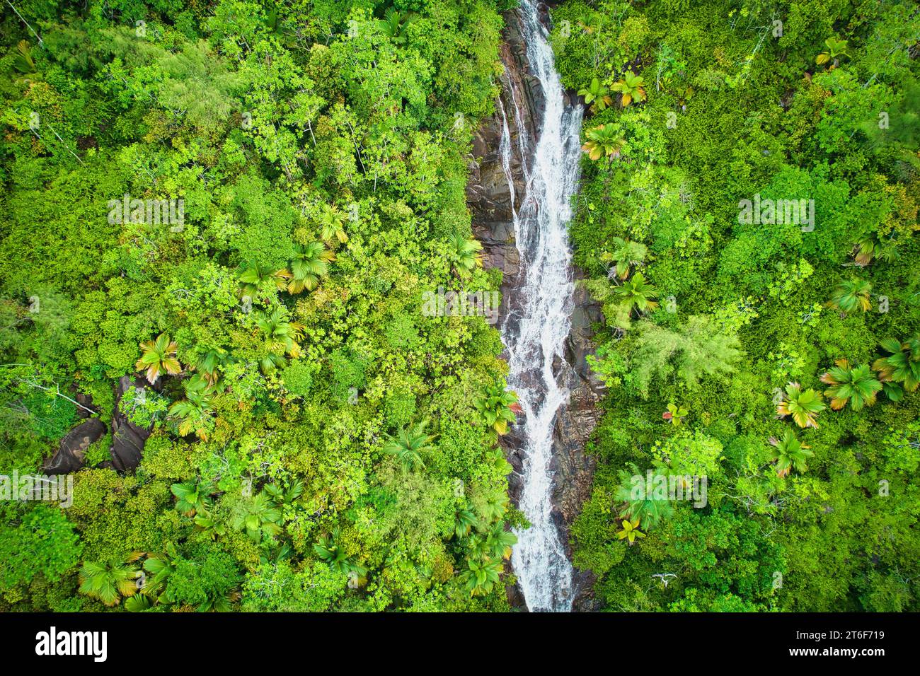Drohnenfotgraphie des Sauzier-Wasserfalls auf, umgeben von üppigem Wald, Mahe Seychellen Stockfoto