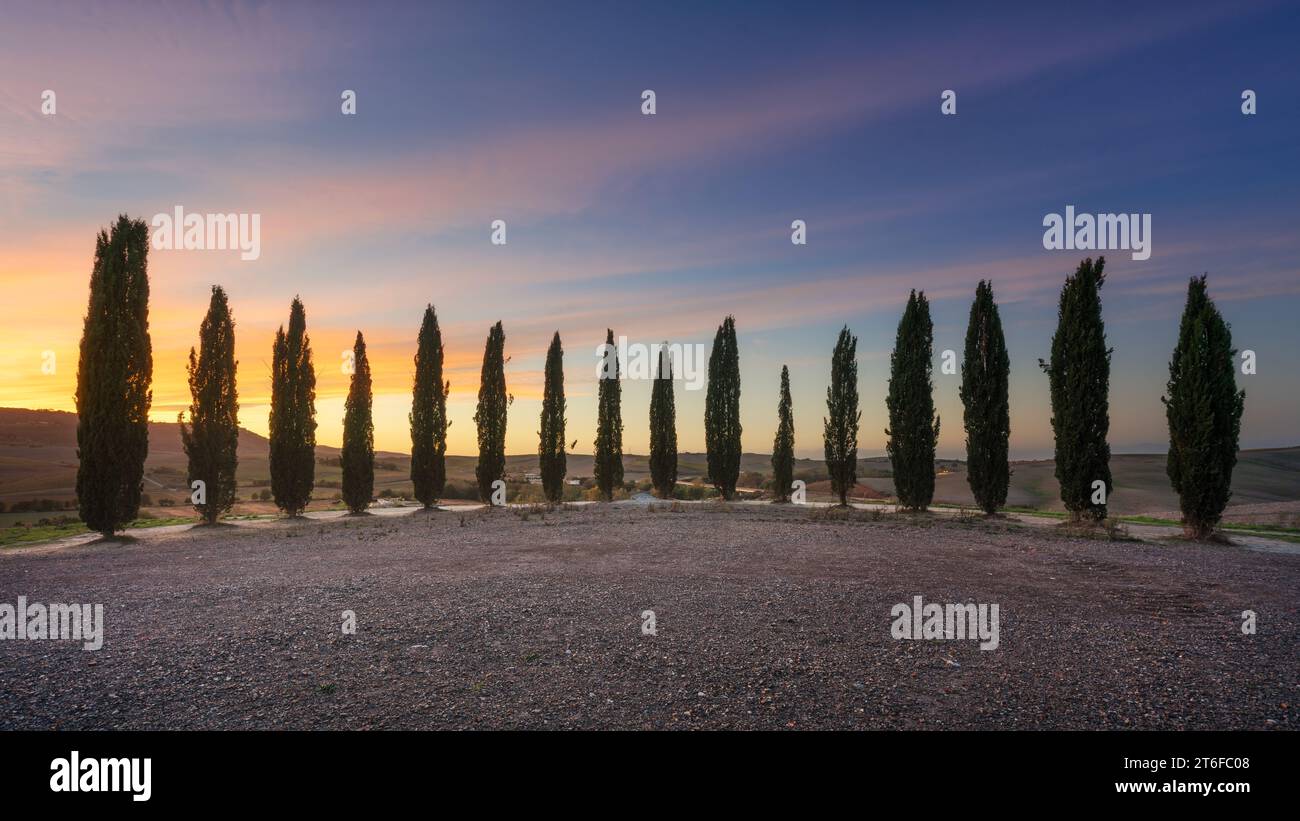 SAN QUIRICO d'ORCIA, TOSKANA / ITALIEN - 27. Oktober 2023: Der Kreis der Zypressen von San Quirico d'Orcia im Val d'Orcia, während eines farbenfrohen Sonnenuntergangs in Au Stockfoto