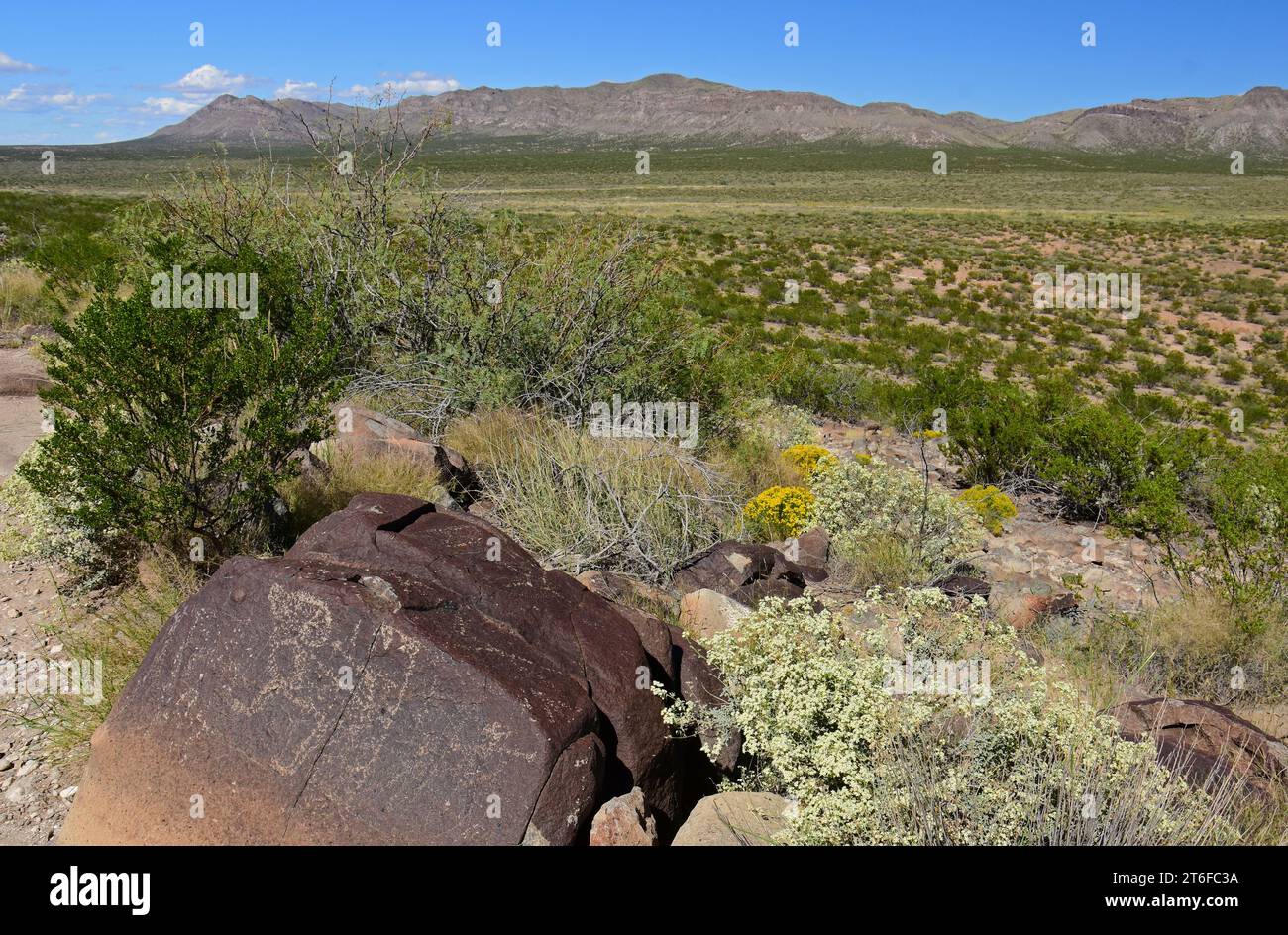 Die alten einheimischen amerikanischen Petroglyphen an einem sonnigen Herbsttag an drei Flüssen Petroglyphen in der Nähe von tularosa, New mexico Stockfoto