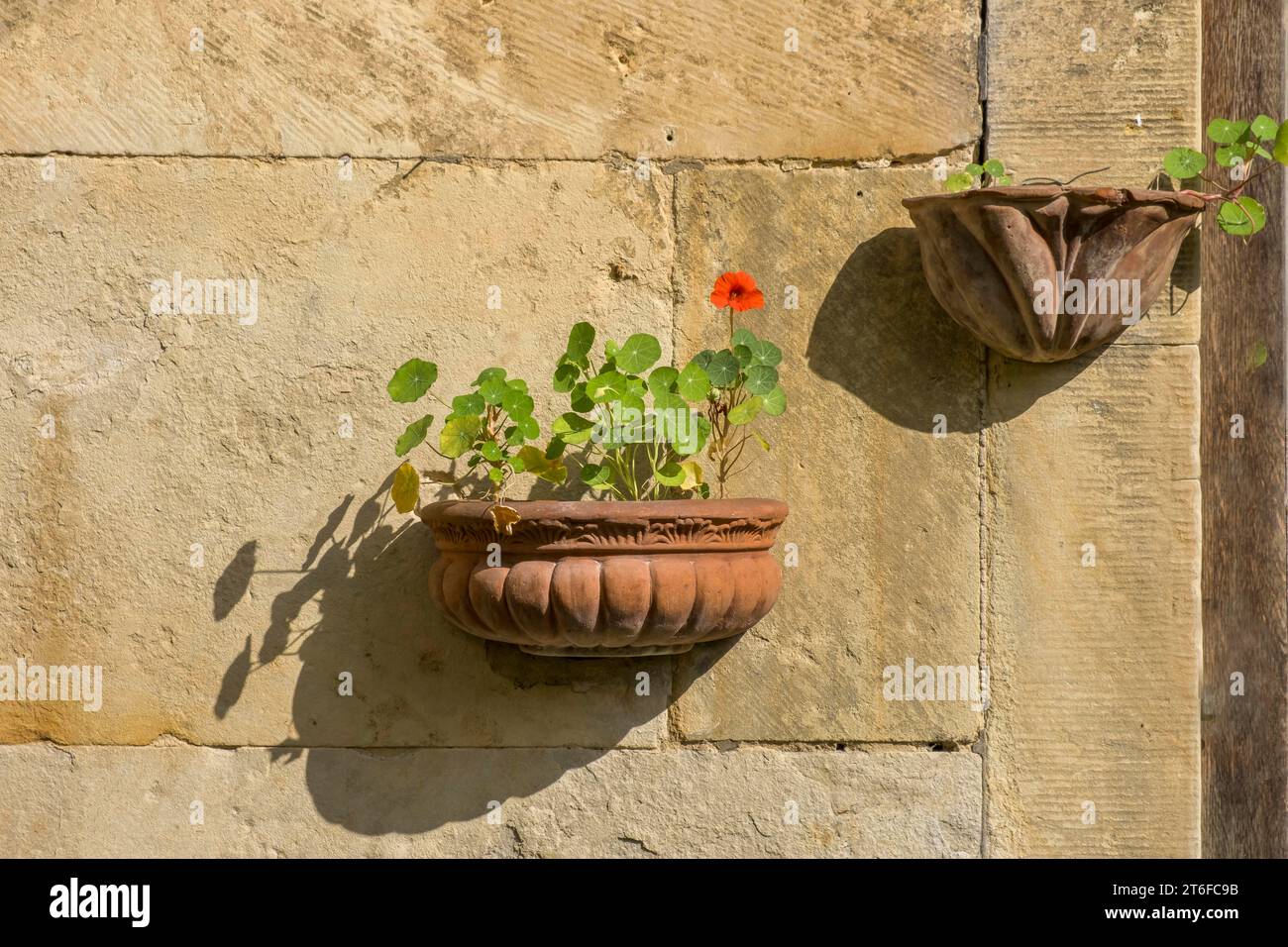 Blumenschmuck in Terrakottatöpfen an einer alten Sandsteinmauer, Nordrhein-Westfalen, Deutschland Stockfoto