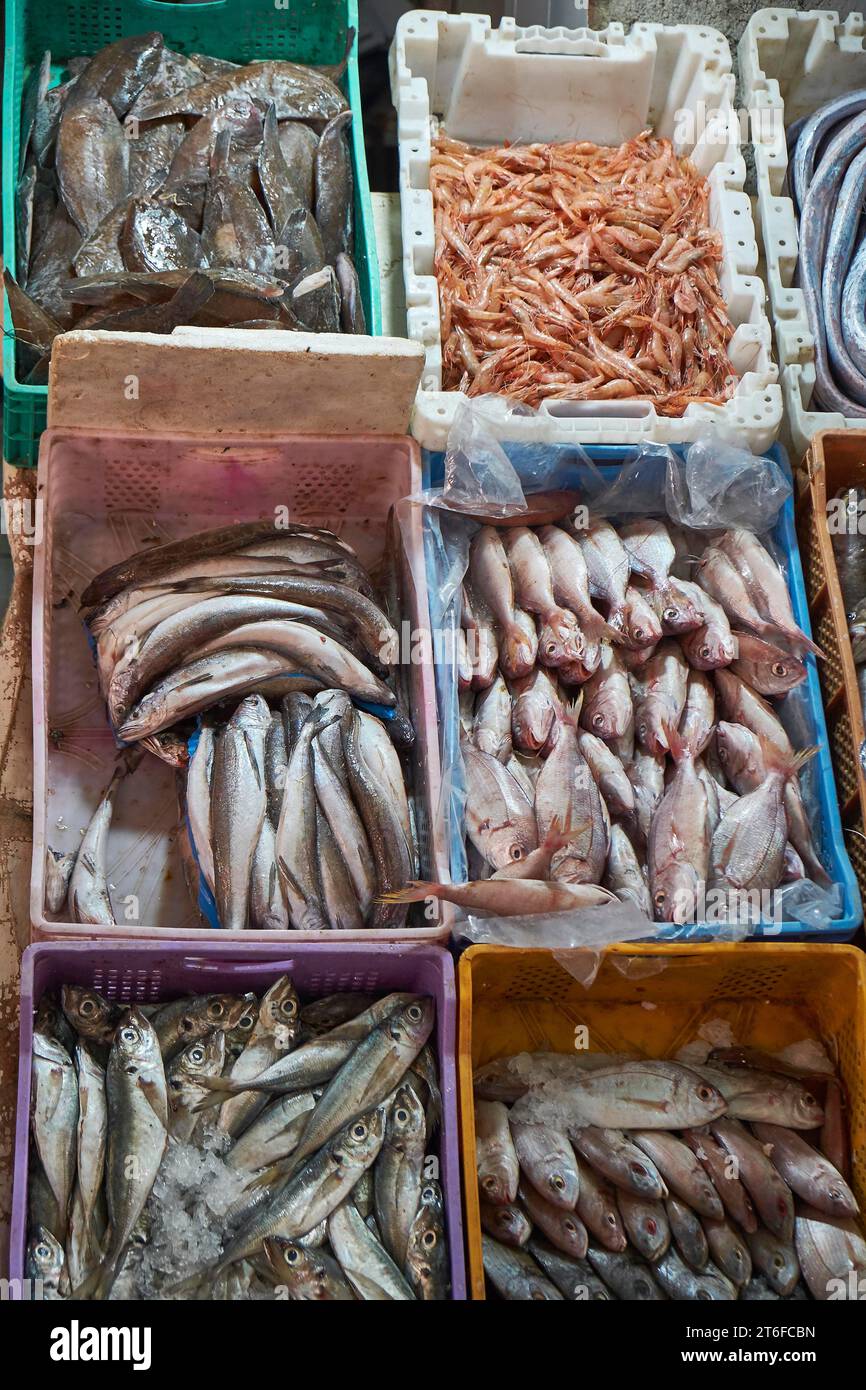 Fisch im Angebot in den Souks von Marrakesch, Marokko Stockfoto