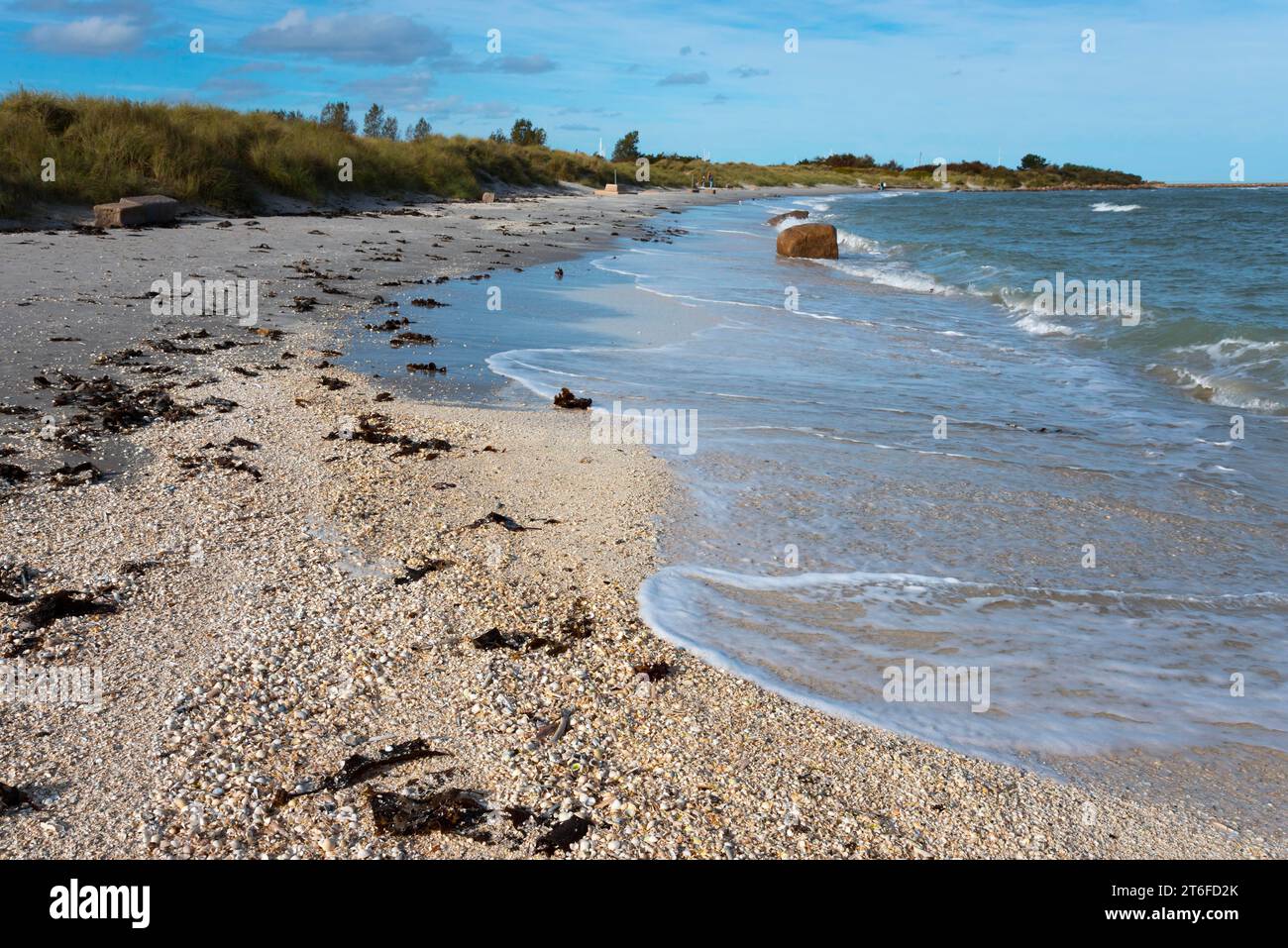 Weißer Sand von Palmestranden, Palm Beach, Frederikshavn, Nordjütland, Nordjütland, Kattegat, Dänemark Stockfoto