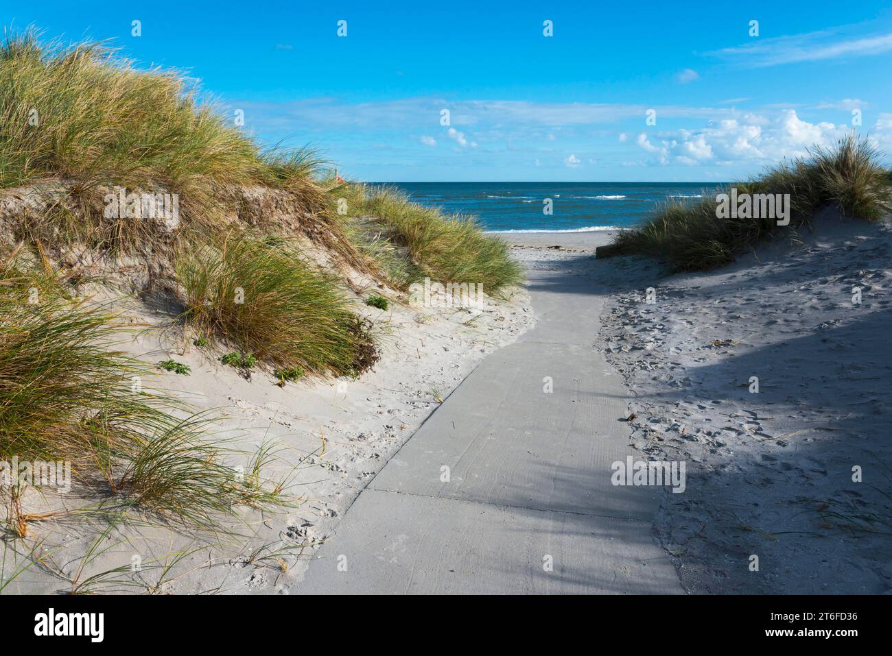 Pfad zum weißen Sand von Palmestranden, Palm Beach, Frederikshavn, Nordjylland, Nordjütland, Kattegat, Dänemark Stockfoto