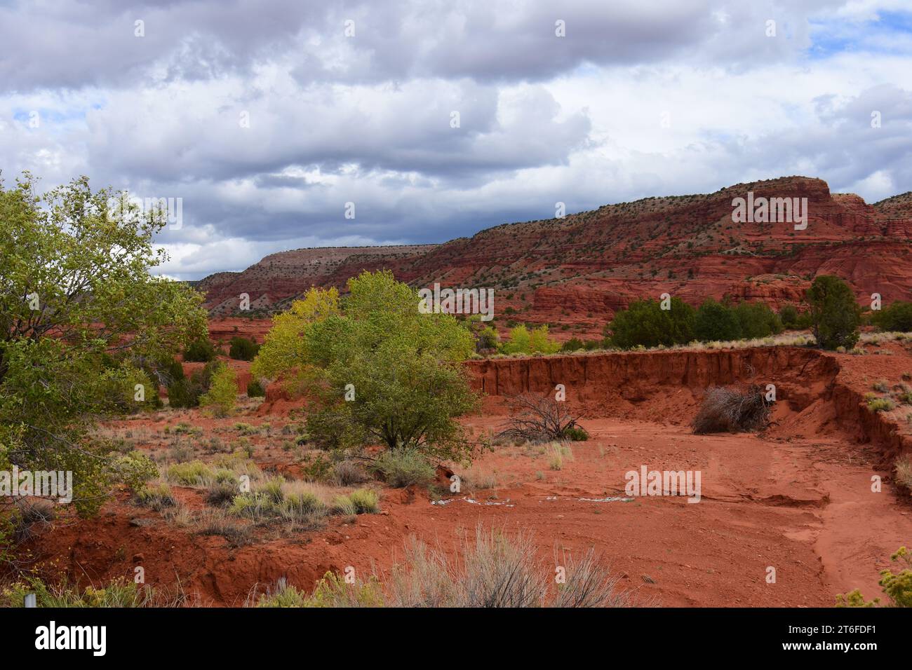 Farbenfrohe rote Felsenwüste und erodierte Hügel an einem stürmischen Herbsttag in der Nähe von jemez Springs, New mexico Stockfoto