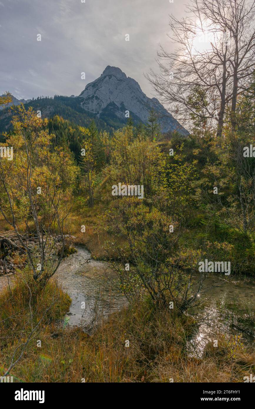 Rissbach im Risstal, Sumpfgebiet im Flussbett, Naturpark Karwendel im Herbst, Tirol, Österreich Stockfoto