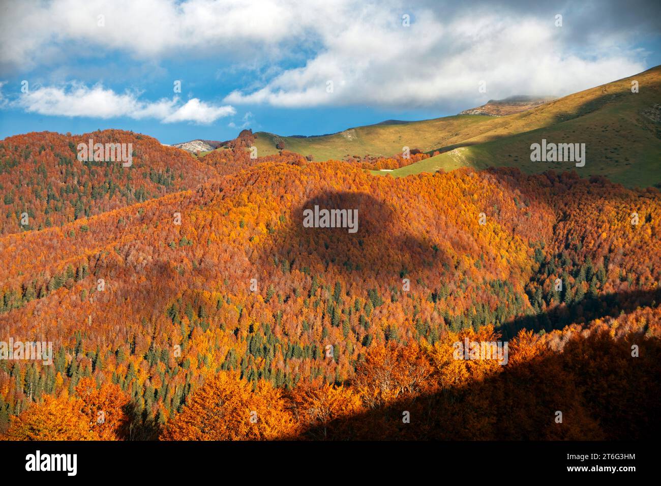 Laubwald Mitte Herbst in den östlichen Tälern der Pyrenäen von Navarrese, vom Hafen von Laza in Navarra, Spanien mit einem Herz, das gebildet wird Stockfoto
