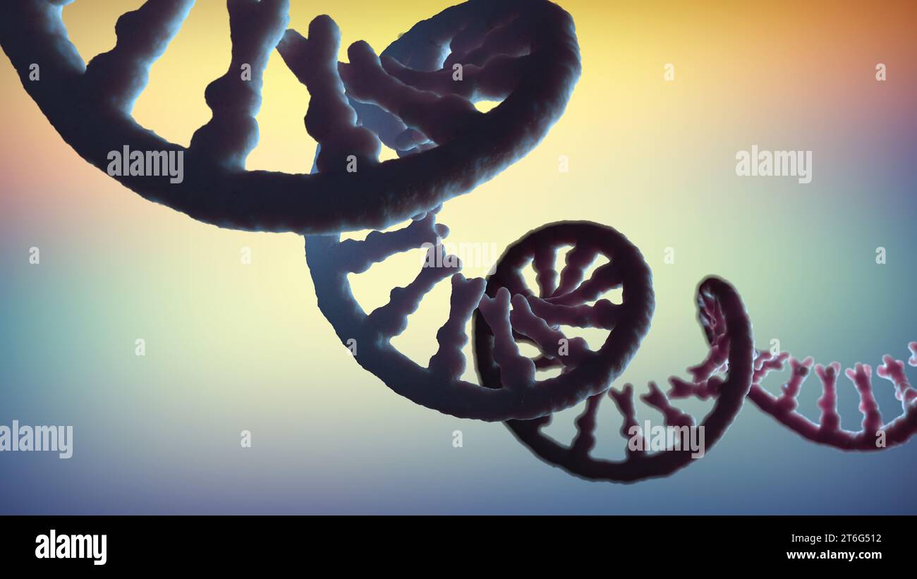 Einzelsträngiges RNA-Molekül namens Botenribonukleinsäure - 3D-Illustration Stockfoto