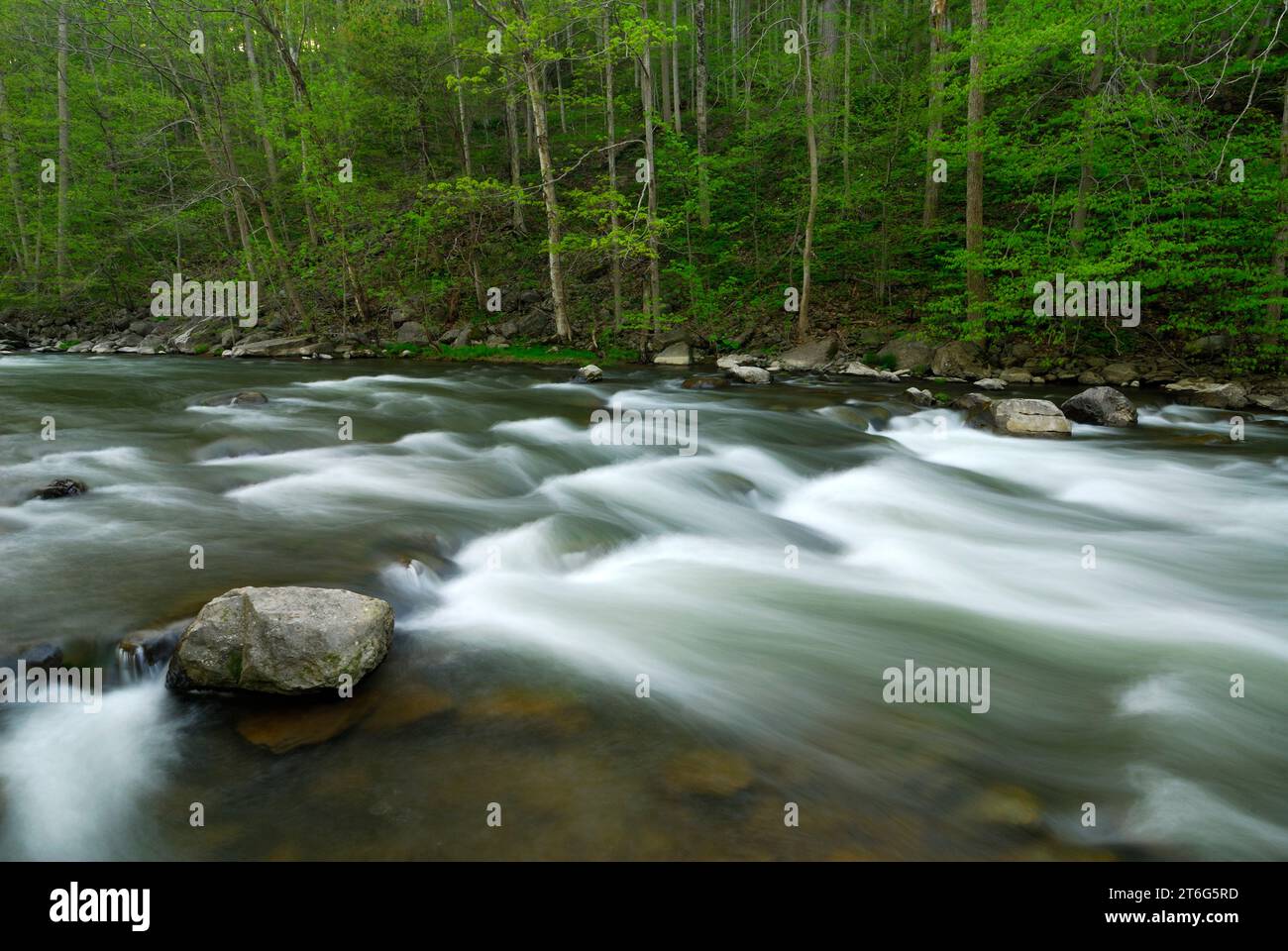 Chittenango Creek im Frühjahr Stockfoto