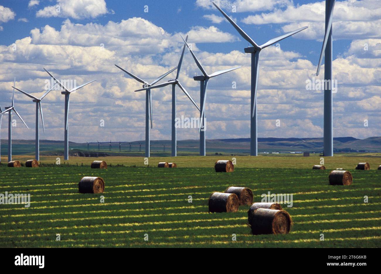 Eine Reihe sauberer, energieerzeugender Windkraftanlagen in den Ausläufern der Rocky Mountains, Pincher Creek, Alberta, Kanada. Stockfoto