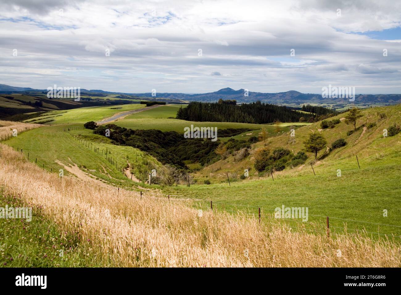 Neuseeland - Südinsel Stockfoto