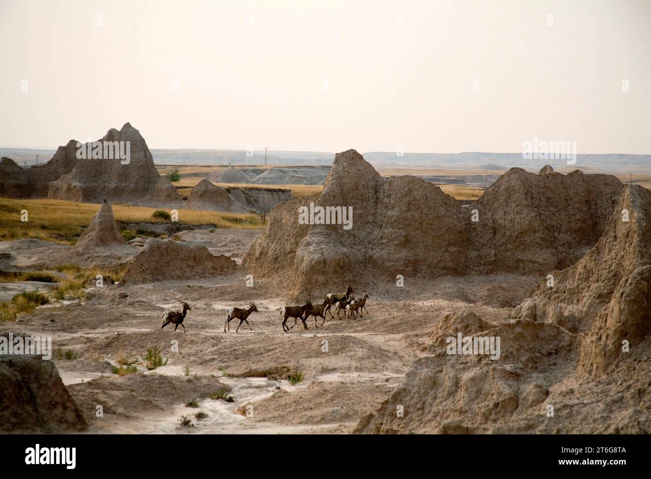 South Dakota – Badlands-Nationalpark Stockfoto