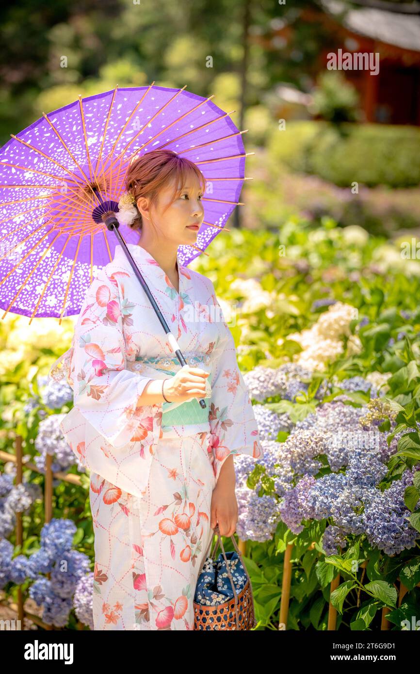 Porträt einer jungen Frau mit Yukata-SommerKimono und japanischem Schirm in einem Hortensiengarten. Kyoto, Japan. Hintergrund mit weichem Unschärfe. Stockfoto