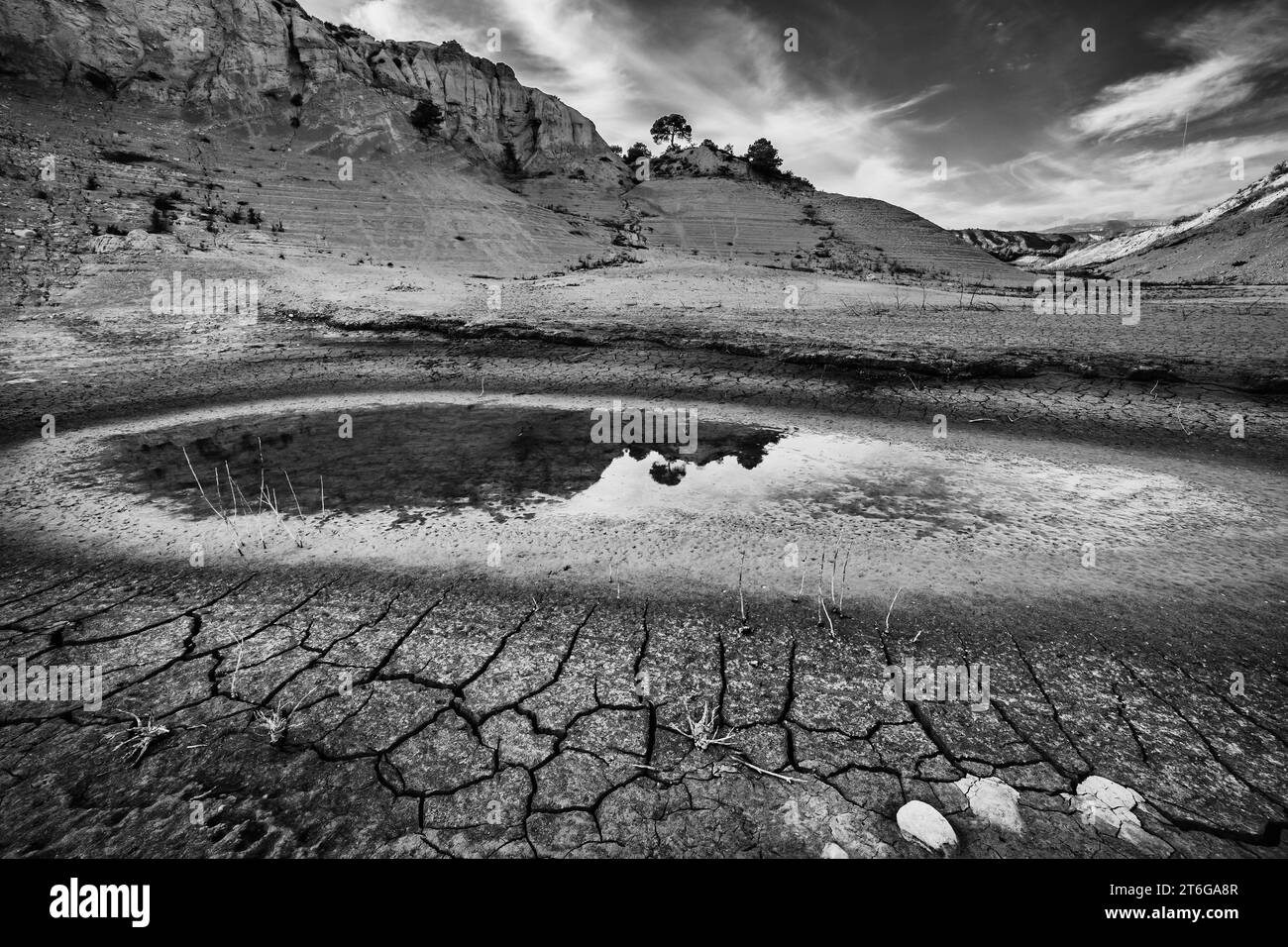 Reflexion einer Kiefer in einer Pfütze im Villajoyosa-Reservoir Stockfoto