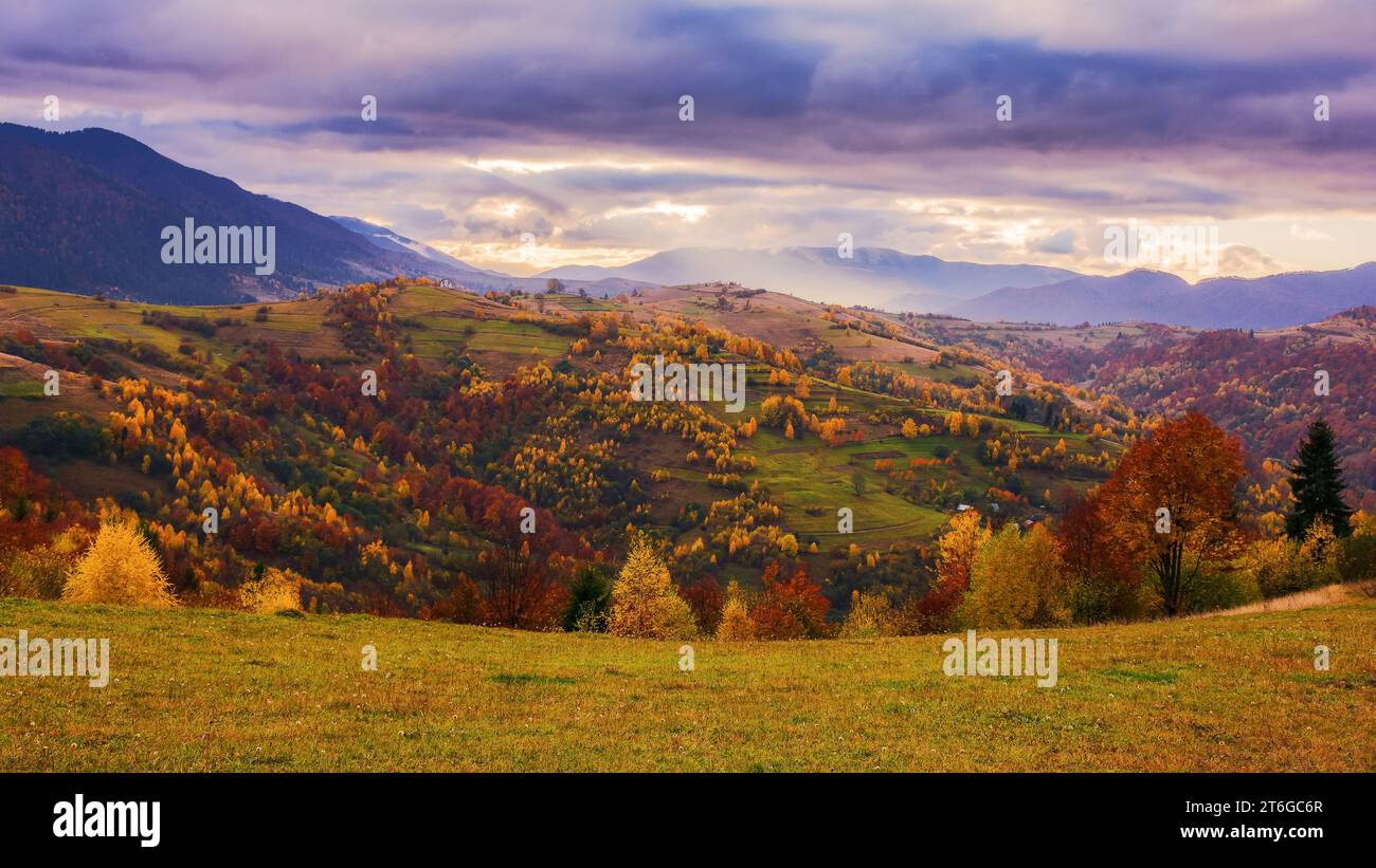Ländliche Landschaft an einem bewölkten Morgen im Herbst. Atemberaubende Berglandschaft mit bewaldeten Hügeln und grasbewachsenen Wiesen Stockfoto