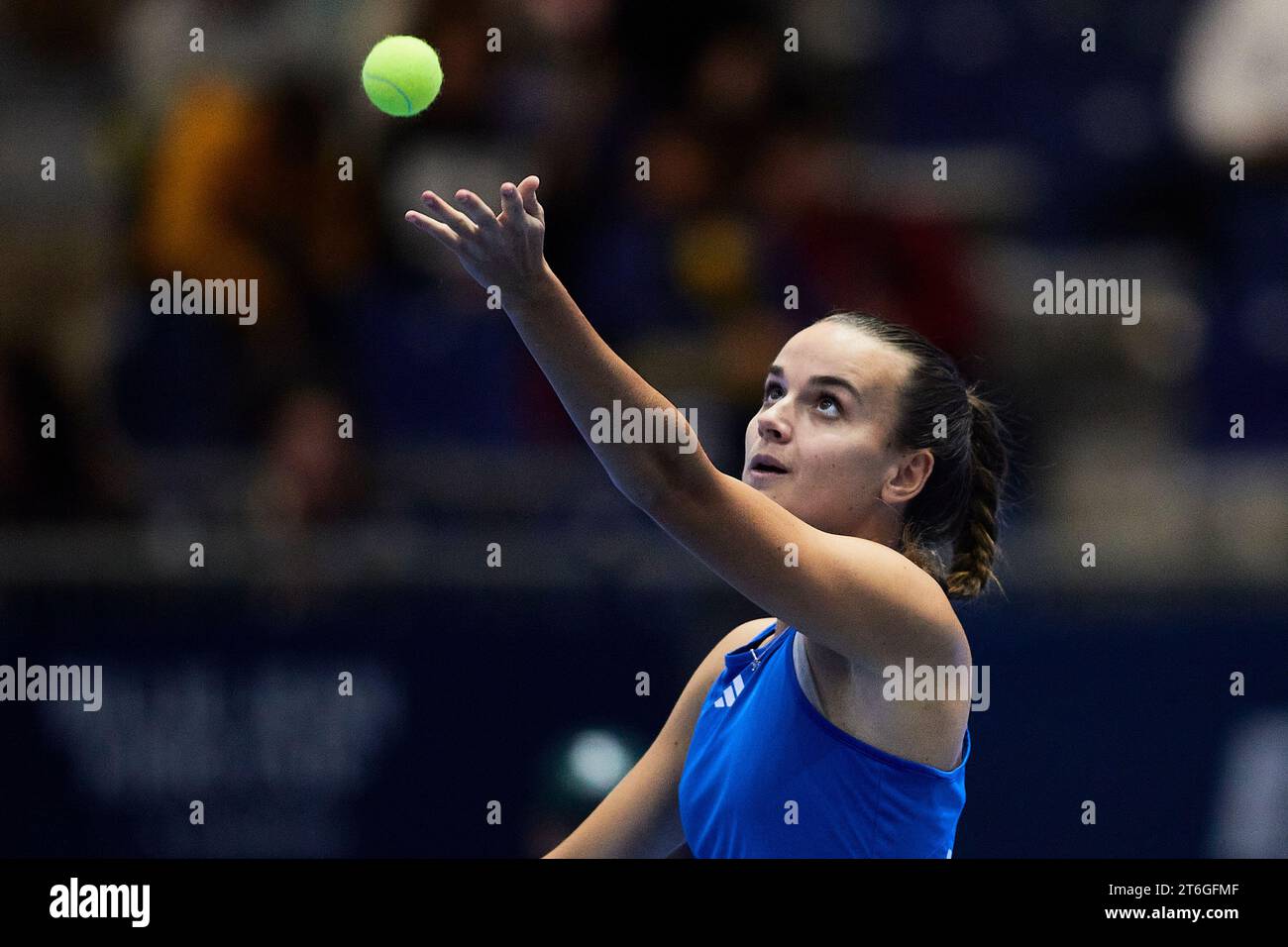 Sevilla, Spanien, 10. November 2023. Clara Burel aus Frankreich während des Spiels erneut Jule Niemeier aus Deutschland beim Billie Jean King Cup Finale in Sevilla. Kredit: Omar Arnau Kredit: Saolab/Alamy Live News Stockfoto