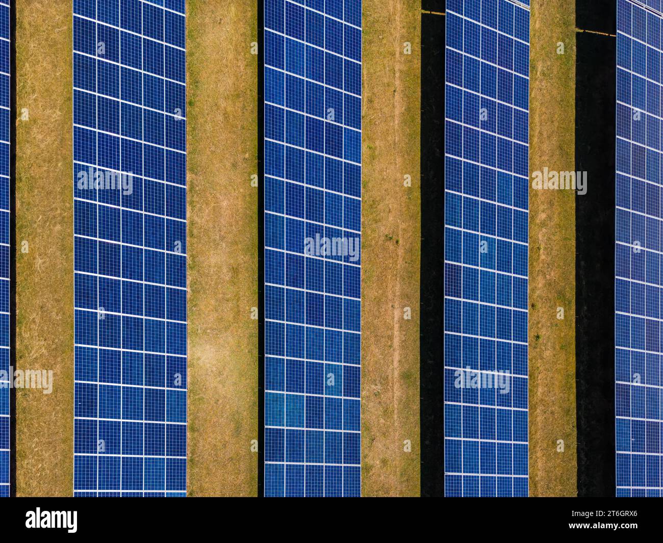 Luftaufnahme von Solarmodulen einer bodenmontierten Photovoltaikanlage auf einem Feld als Draufsicht von oben Stockfoto