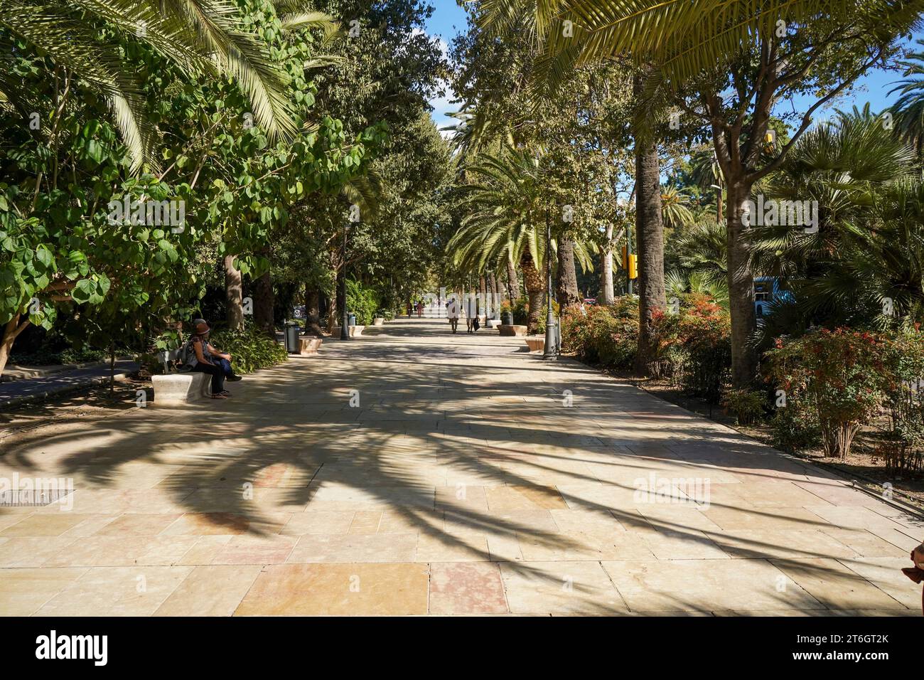 Malaga Stadtpark, Costa del sol, Malaga, Costa del sol, Andalusien, Spanien. Stockfoto