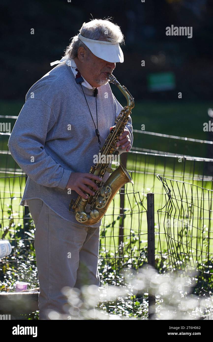 Ein Mann, der den Saxaphone (Busker) im Central Park, New York City, USA spielt. Stockfoto