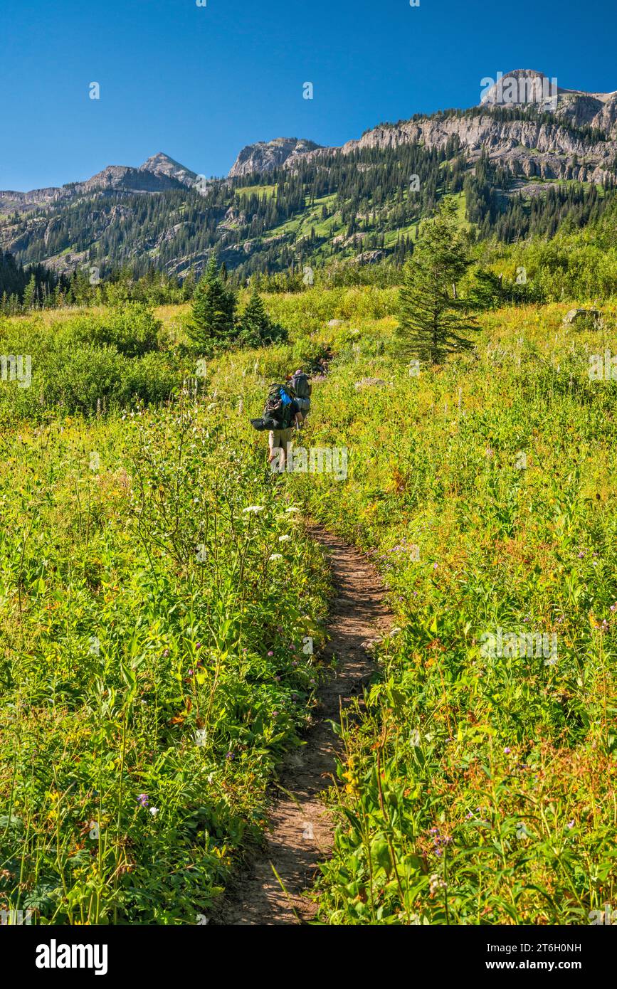 Teton Canyon, Wanderer auf dem South Teton Trail zum Alaska Basin und Hurricane Pass, The Wedge in Distance, Teton Range, Jedediah Smith Wilderness, Wyoming Stockfoto