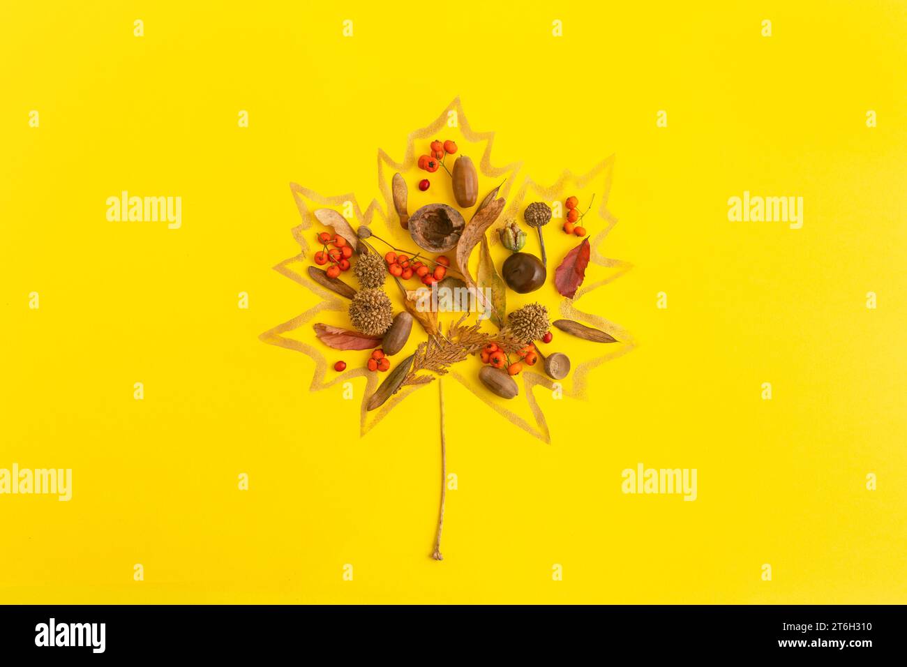 Herbstschätze in bemalten Ahornblättern. Konzeptflachung auf Gelb Stockfoto