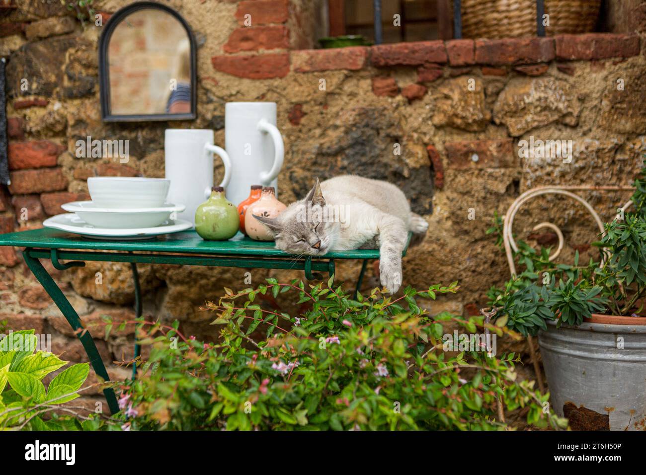 Verschlafene Katze, die sich in der Sonne in Italien entspannt Stockfoto