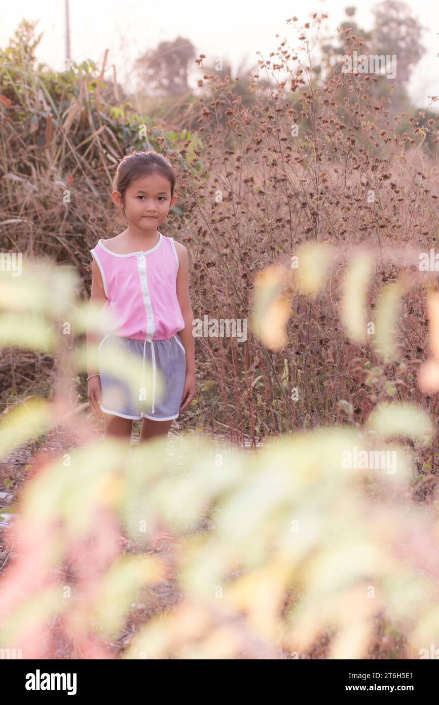 Portrait thai Mädchen im trockenen Gras Stockfoto