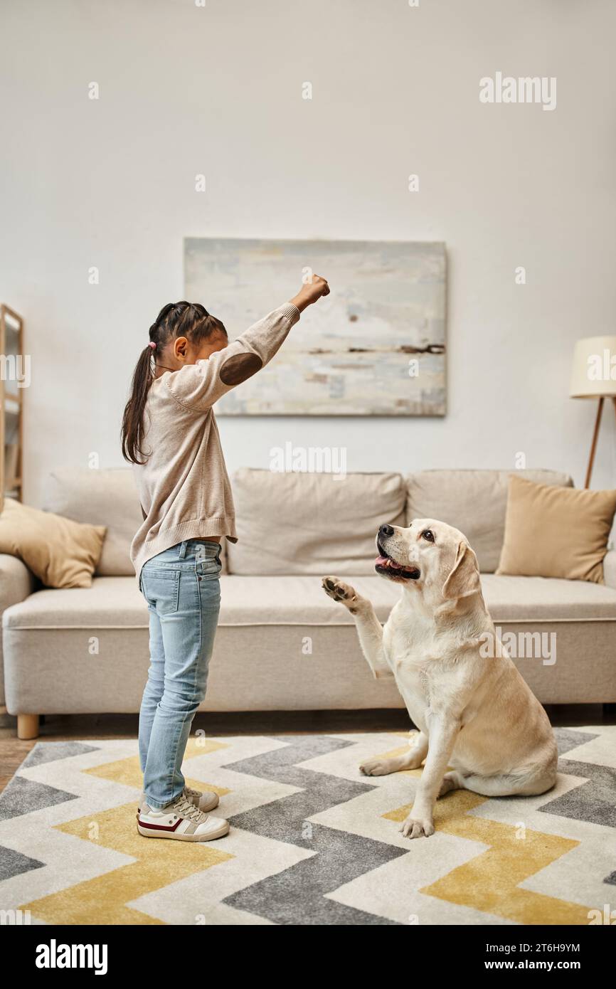 Mädchen in Freizeitkleidung trainiert labrador in modernem Wohnzimmer, Kind gibt Leckerbissen, während er Hund unterrichtet Stockfoto