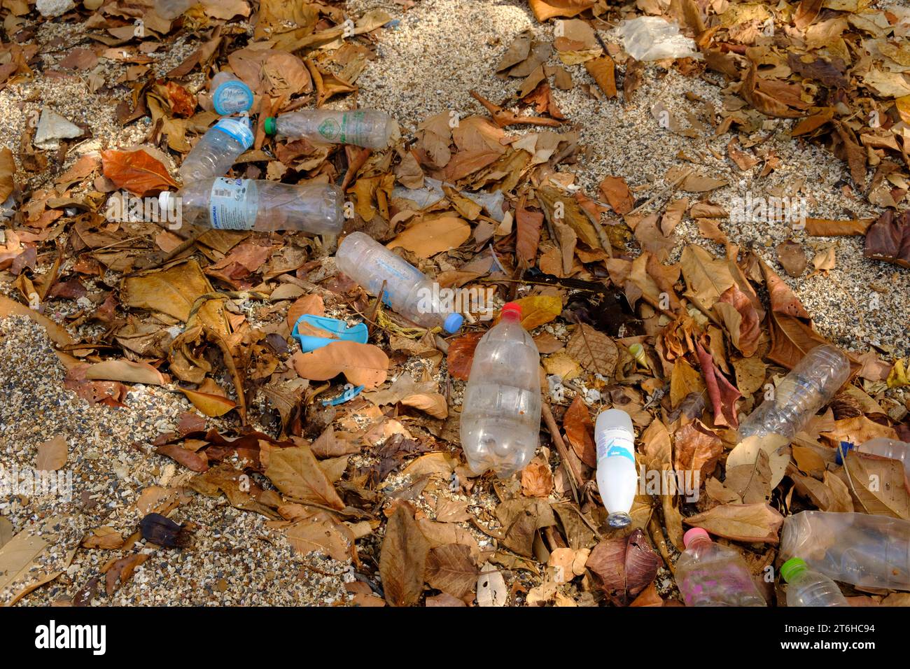 Plastikmüll Wasserflaschen an der Panka Yai Bay - Koh Bulon Le - Thailand, Januar 2020 *** Plastikabwasser-Flaschen in der Panka Yai Bay Koh Bulon Le Thailand, Januar 2020 Credit: Imago/Alamy Live News Stockfoto