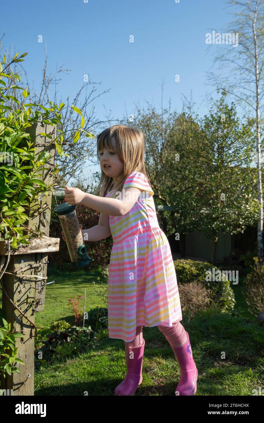 Ein junges Mädchen, das in einem Garten eine Futterstelle aufhängt, Co Durham, April Stockfoto