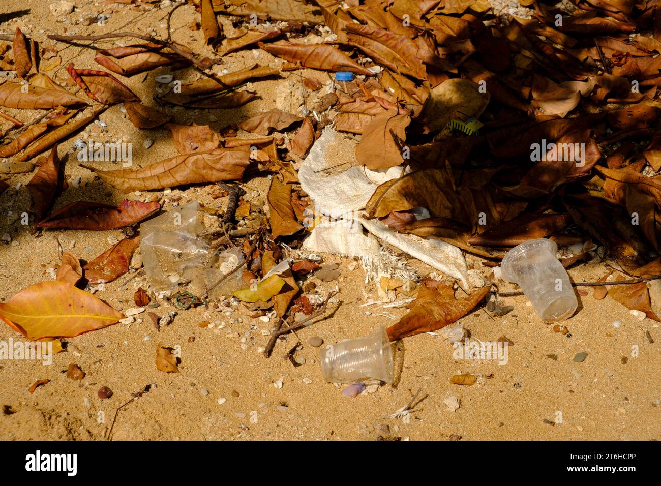 Plastikmüll an der Mango Bay - Koh Bulon Le - Thailand, Januar 2020 *** Plastikmüll in Mango Bay Koh Bulon Le Thailand, Januar 2020 Credit: Imago/Alamy Live News Stockfoto