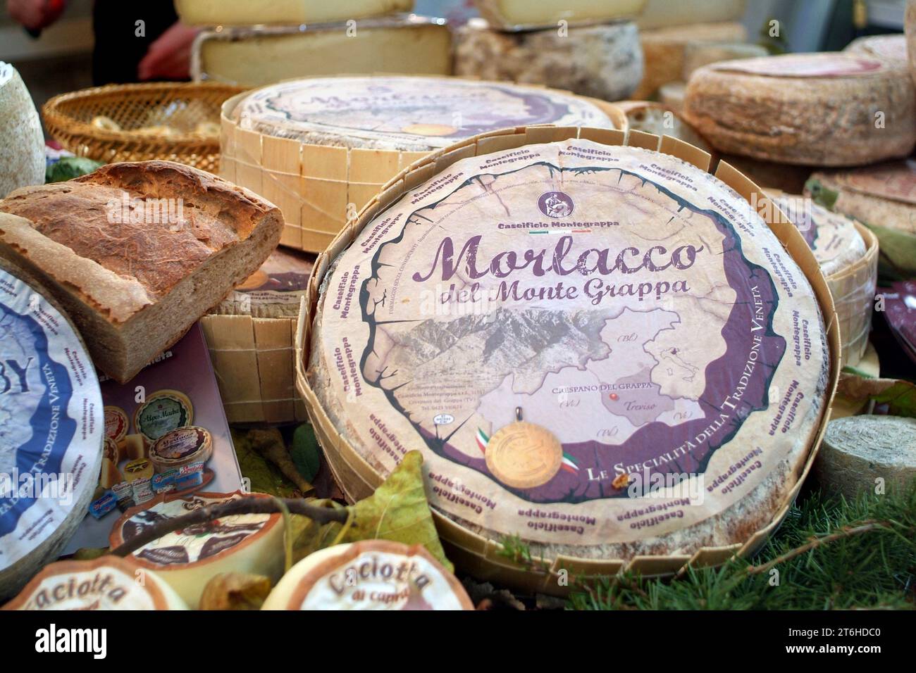 Turin, Piemont, Italien. -22.10.2010- die Lebensmittelmesse "allein del Gusto". Morlacco del Grappa Käse Stockfoto