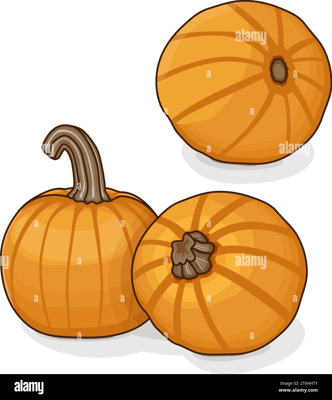 Gruppe von Sugar Pie Pumpkins. Winter-Squash. Cucurbita pepo. Obst und ...
