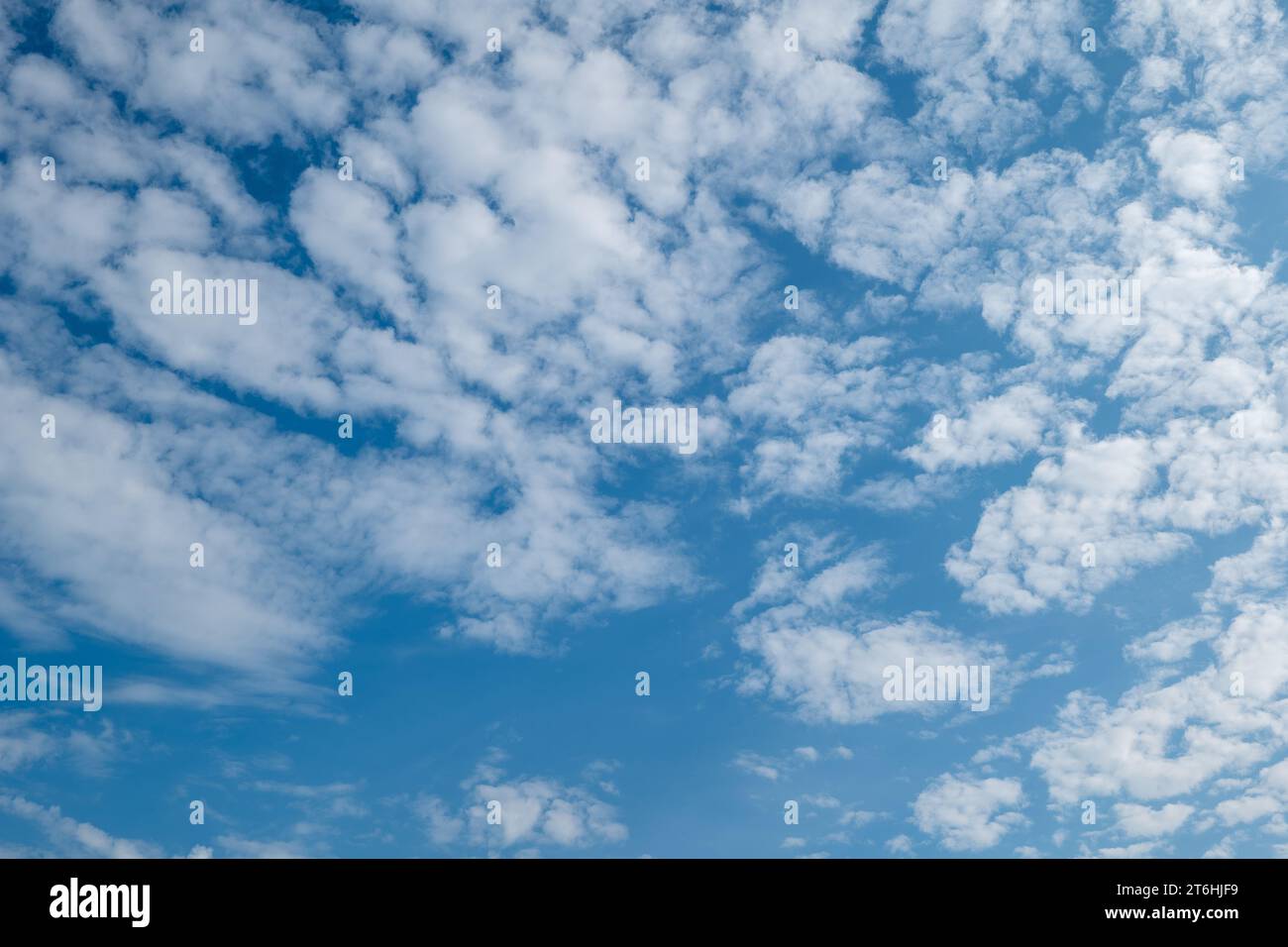 Wunderschöne Zirrocumulus-Wolken unter blauem Himmel an einem sonnigen Tag, als Hintergrundmaterial. Stockfoto