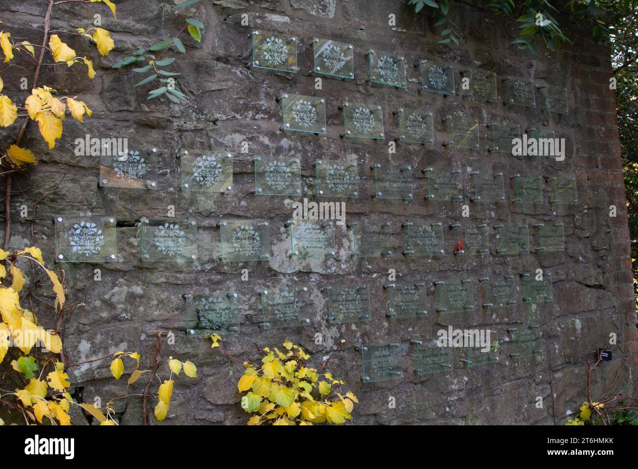 Edinburgh, die Gedenktafeln für Lieben und besondere Anlässe bleiben 10 Jahre lang im Memory Garden des Royal Botanic Garden. Stockfoto