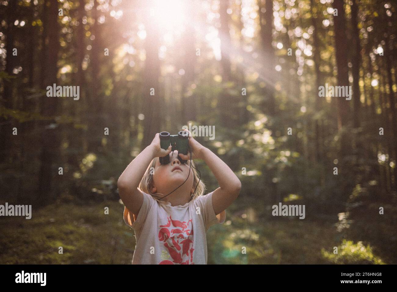 Familienausflug in den Wald hinter dem Haus Stockfoto