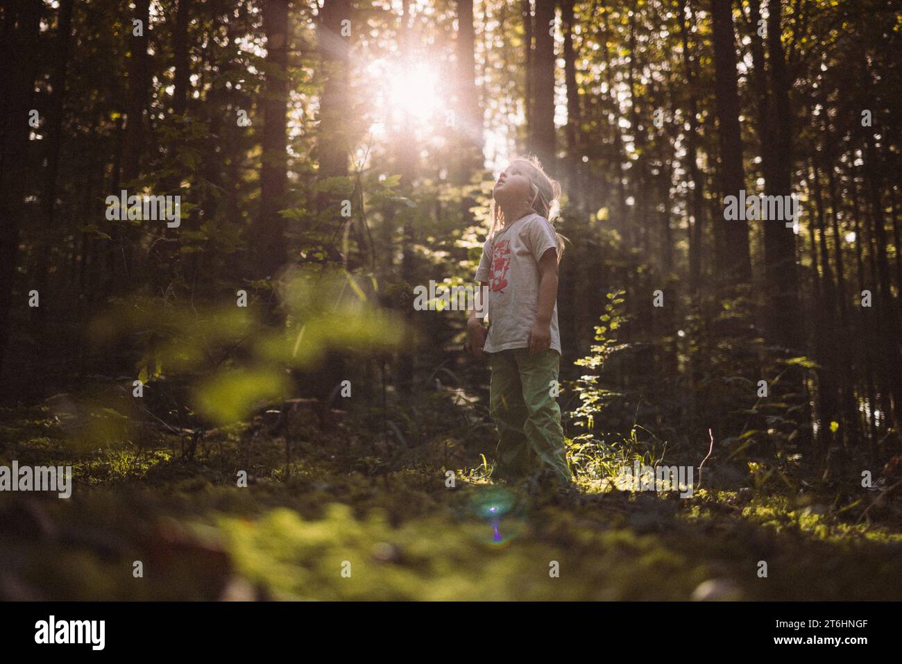 Familienausflug in den Wald hinter dem Haus Stockfoto