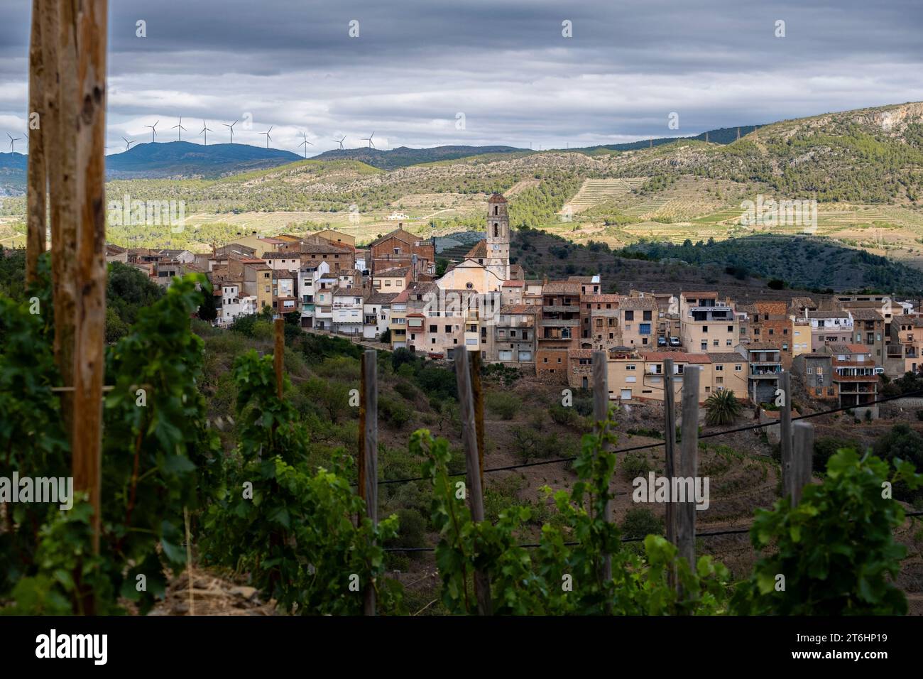 Panorama des Dorfes Masroig zwischen Weinbergen im Frühjahr in der Ursprungsregion Priorat in Katalonien in Spanien Stockfoto