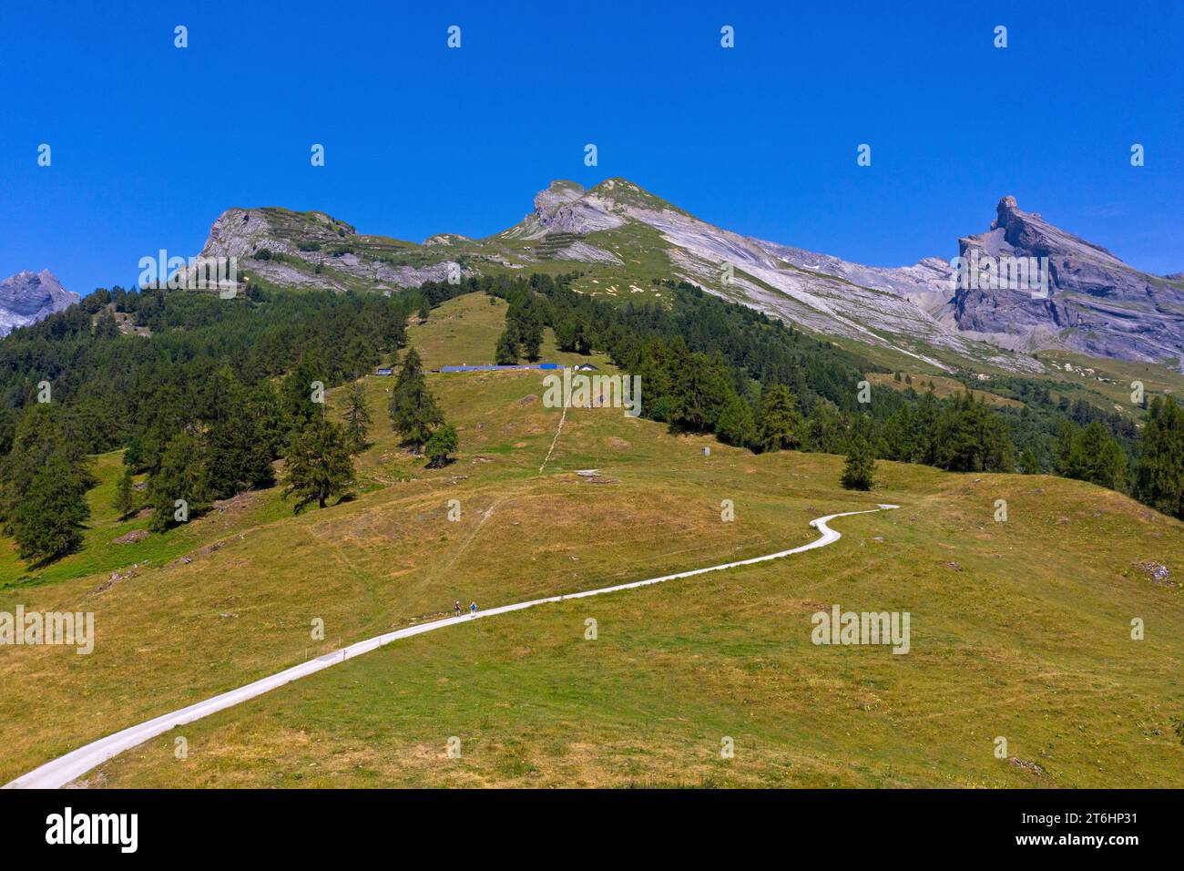 Wanderweg auf der Alp Loutze im Wandergebiet Ovronnaz, hinten rechts der markante Gipfelkopf des Dent de Chamosentse, Ovronnaz, Wallis, Schweiz Stockfoto