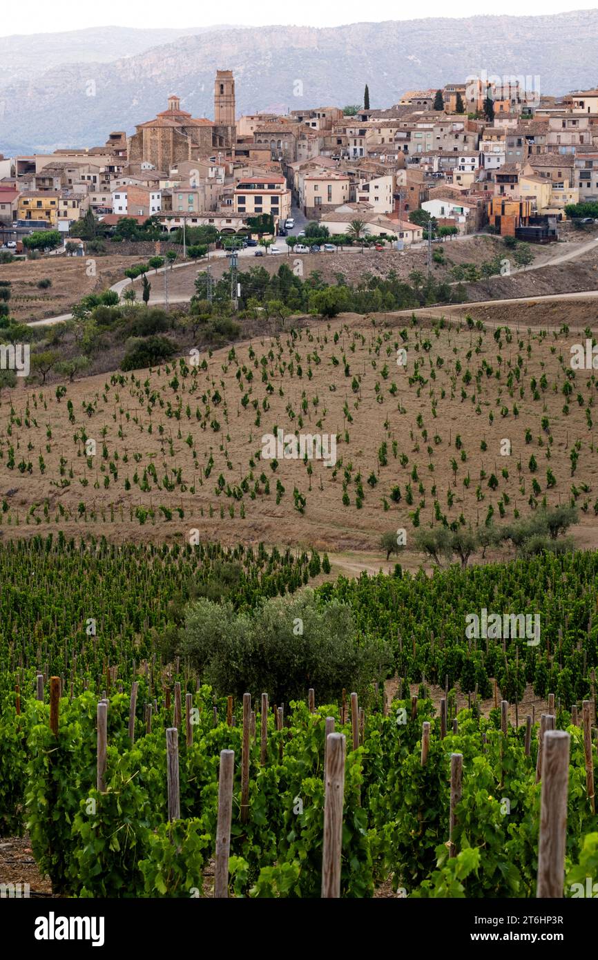 Landschaft zwischen Weinbergen des Dorfes Gratallops im Frühjahr in der Ursprungsregion Priorat in Katalonien in Spanien Stockfoto