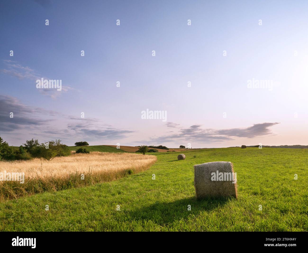Heuballen auf einer Wiese in der Feldberger Seenlandschaft Stockfoto