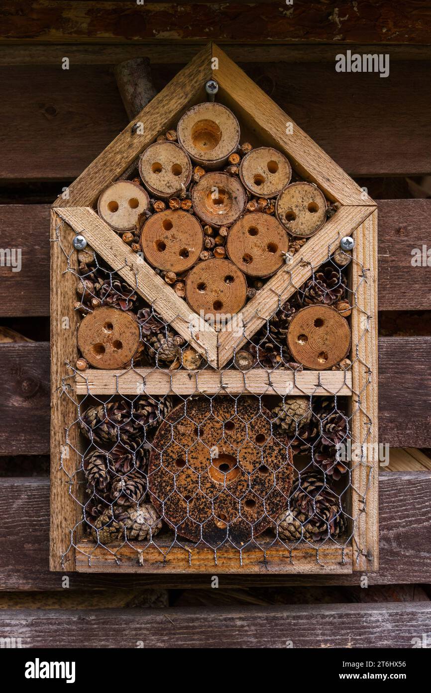 Insektenhotel an einer Holzwand, Nahaufnahme. Stockfoto