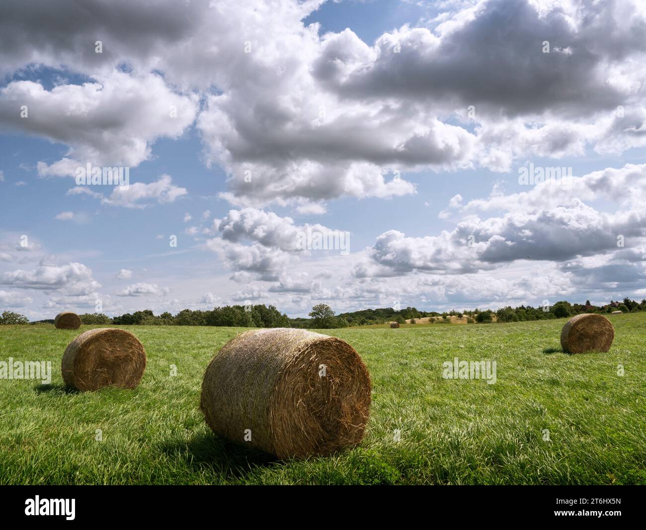 Heuballen auf einer Wiese in der Feldberger Seenlandschaft Stockfoto