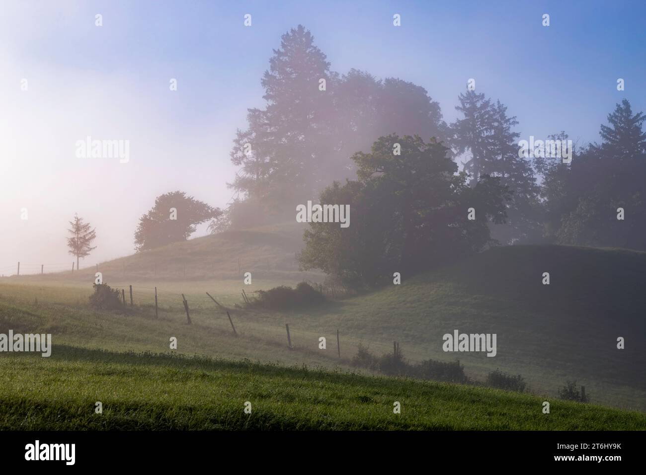 Nebelstimmungen im fünf-Seen-Land, Pähl, Oberbayern, Bayern, Deutschland Stockfoto