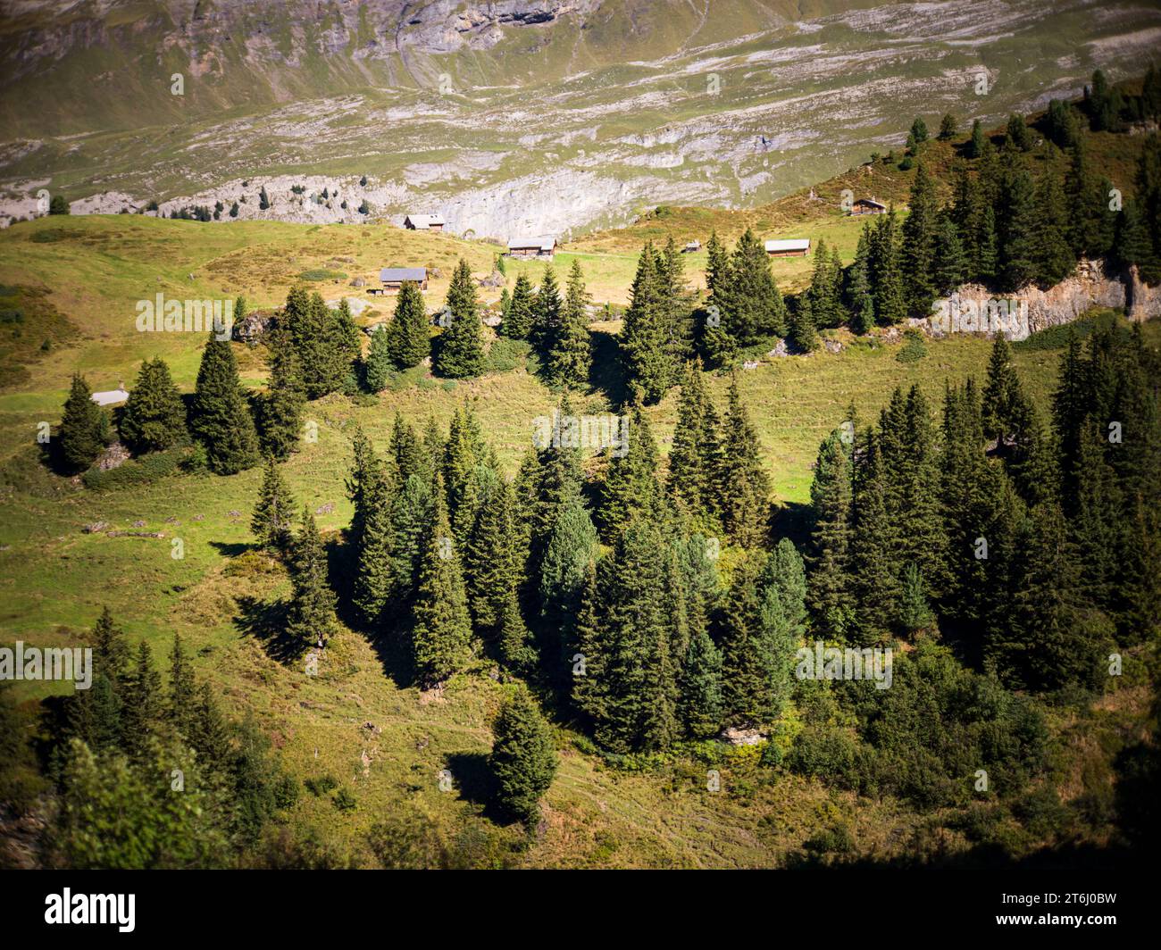 Kraftplatz in den Schweizer Alpen Stockfoto